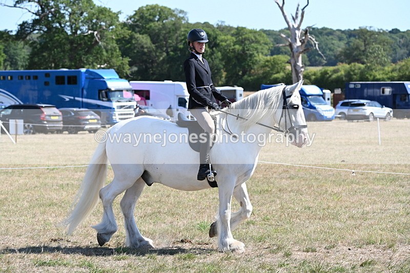 WJ6_8264 - Class 37a Best Loan Pony Ridden