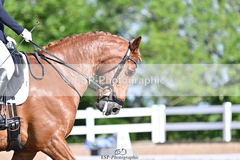 240622A-085051-06657 - Cls 25 BD Music Prelim