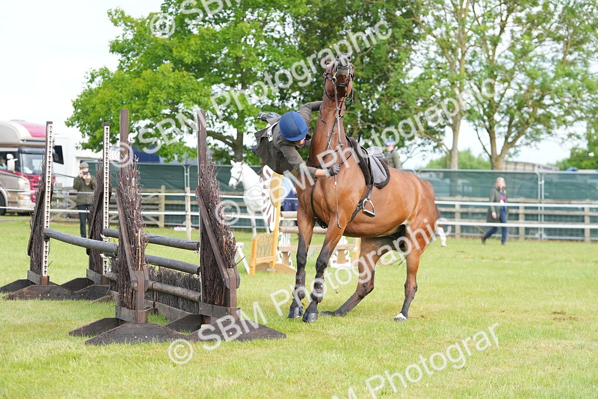 SBM_10464 - Class 97-98 - LIHS BSHA Rising Star Working Show Horse Hunter
