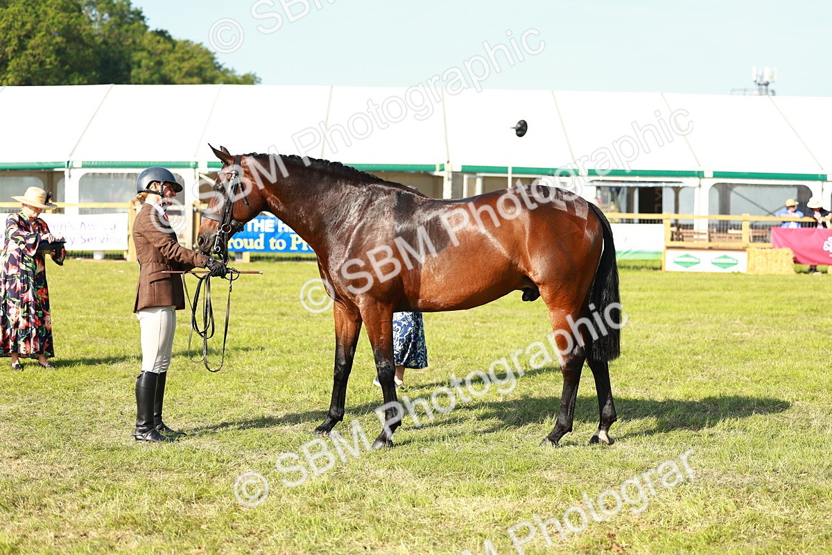 SBM_10798 - Class 66-69 - RIHS Ridden Hunters Inc Small Hunter