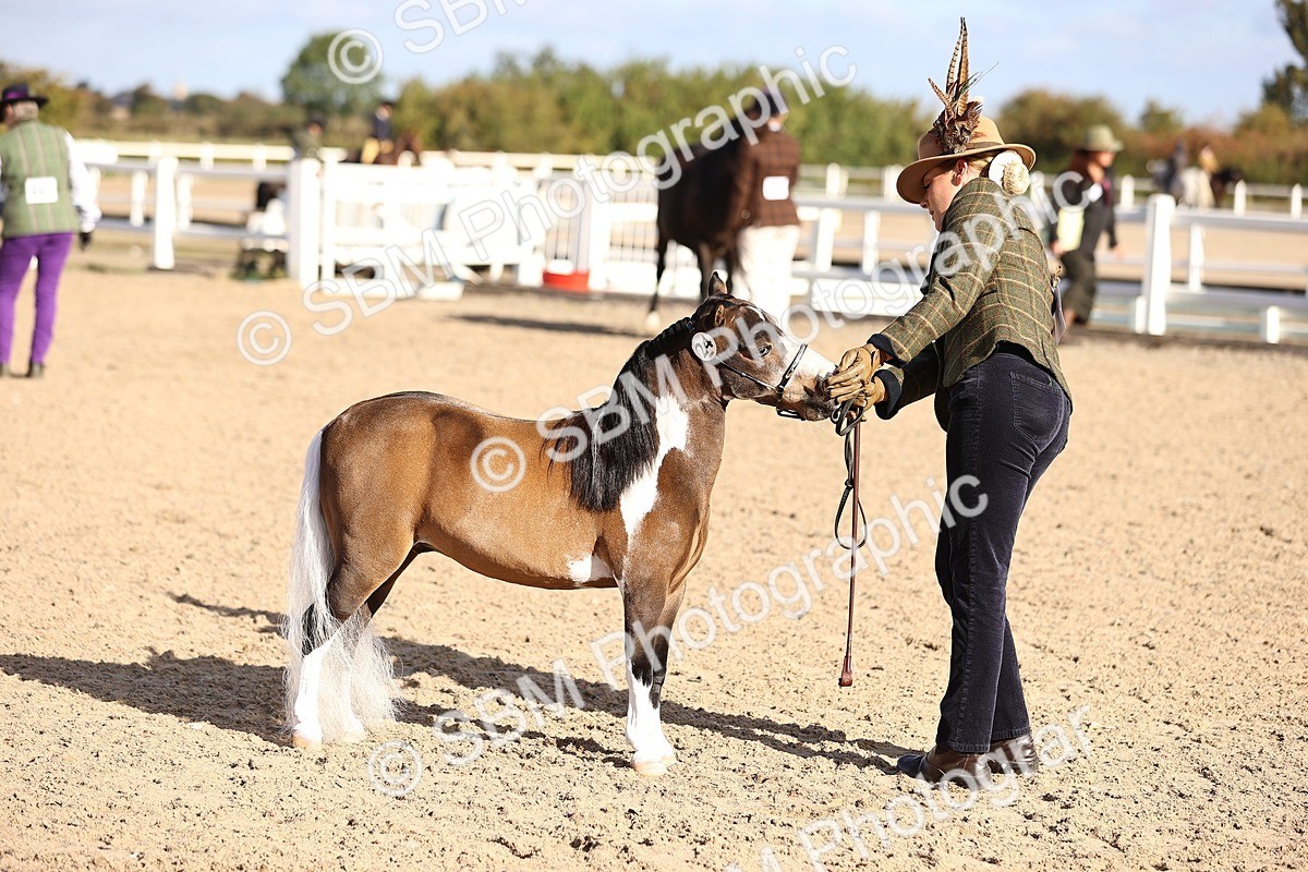 SBM_08515 - Class 402 - IH Veteran Pony