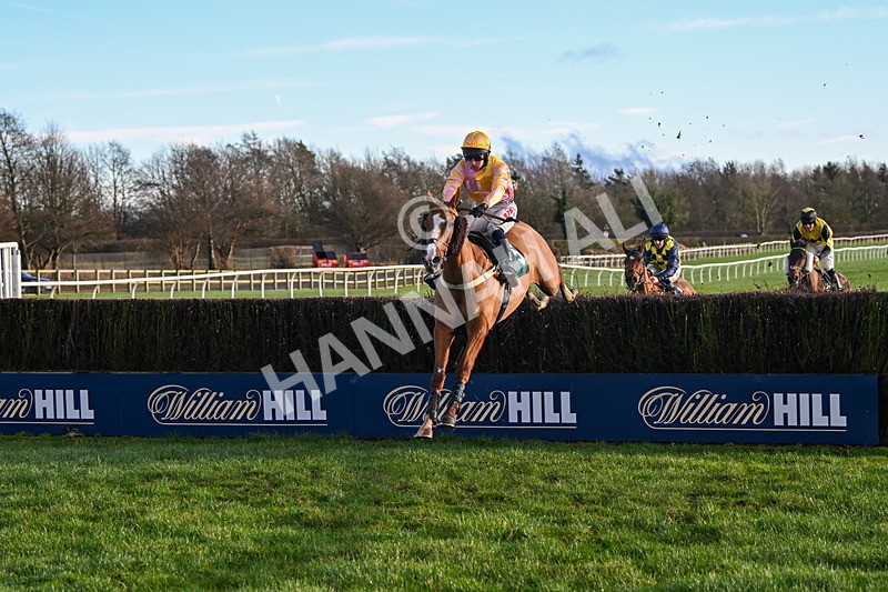 281224-Race 3-Pescatorius-4287 - Race 3