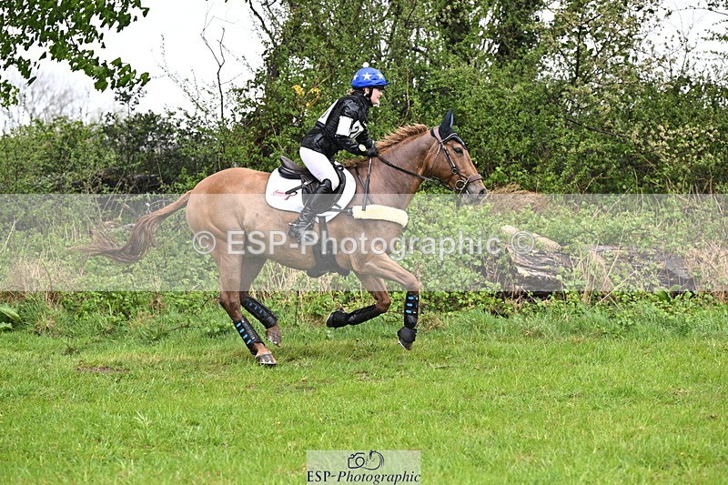 250418-131903-04121 - 205-Millie.Stoneman-V8.CHESTER