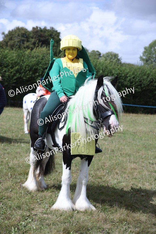 20250831-3557 - Class 26 - Fancy Dress