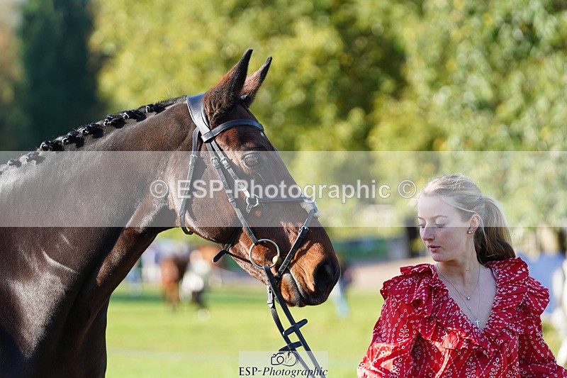 241026-100718-11624 - 018-Alice.Robinson-DERRYS.DIAMOND.CAVALIER