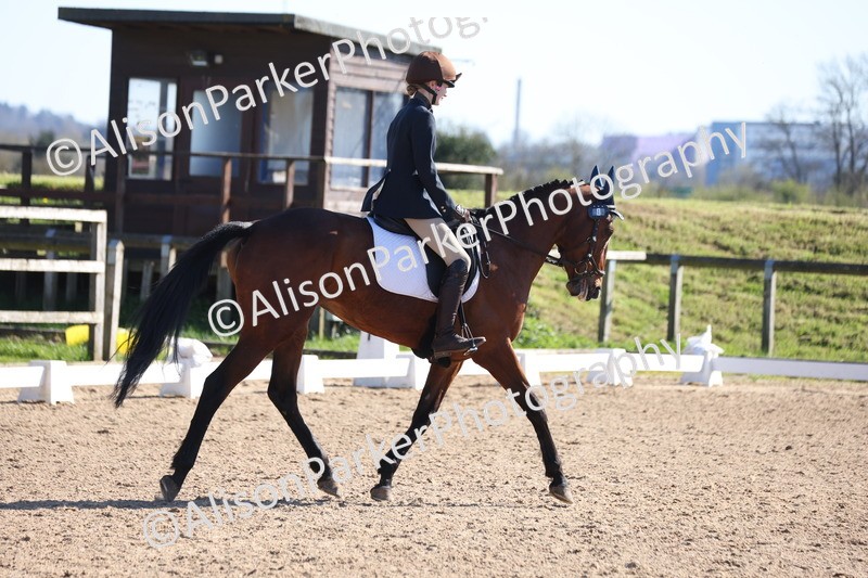 20260318-0615 - Class 6 - Novice 3