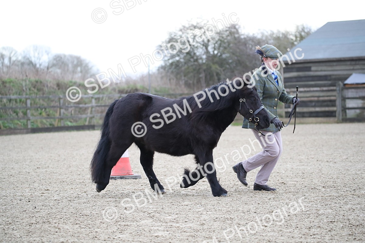 SBM_003887 - Class 1-4 - Young Stock classes Inc. In Hand Championship