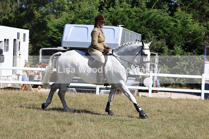 3E7A5875 - Class 5: Working Hunter 90cm