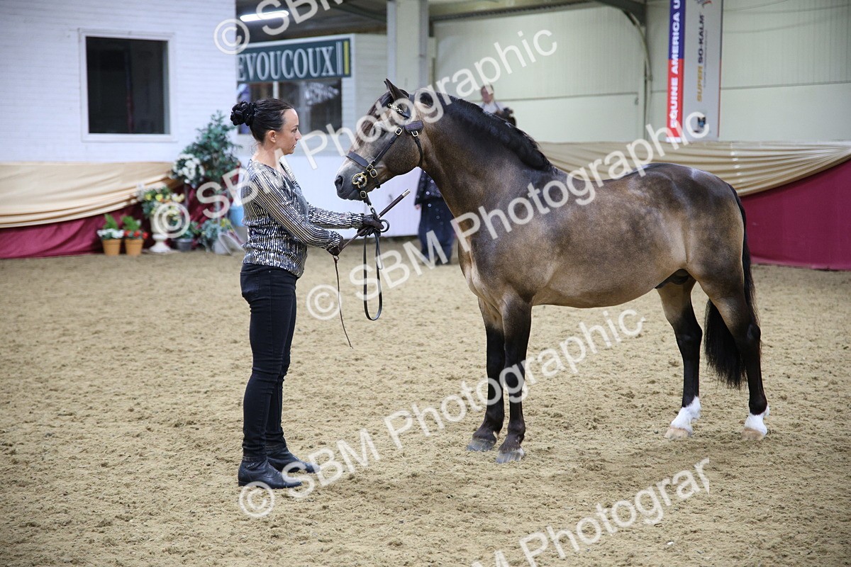 SBM_18760 - Class D IH Pony Champ