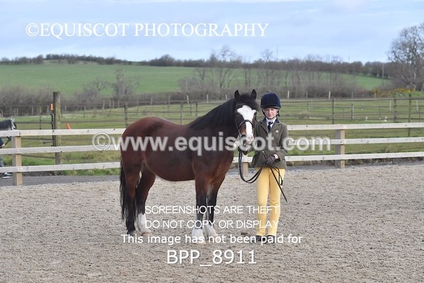 BPP_8911 - RING 2 - M&M