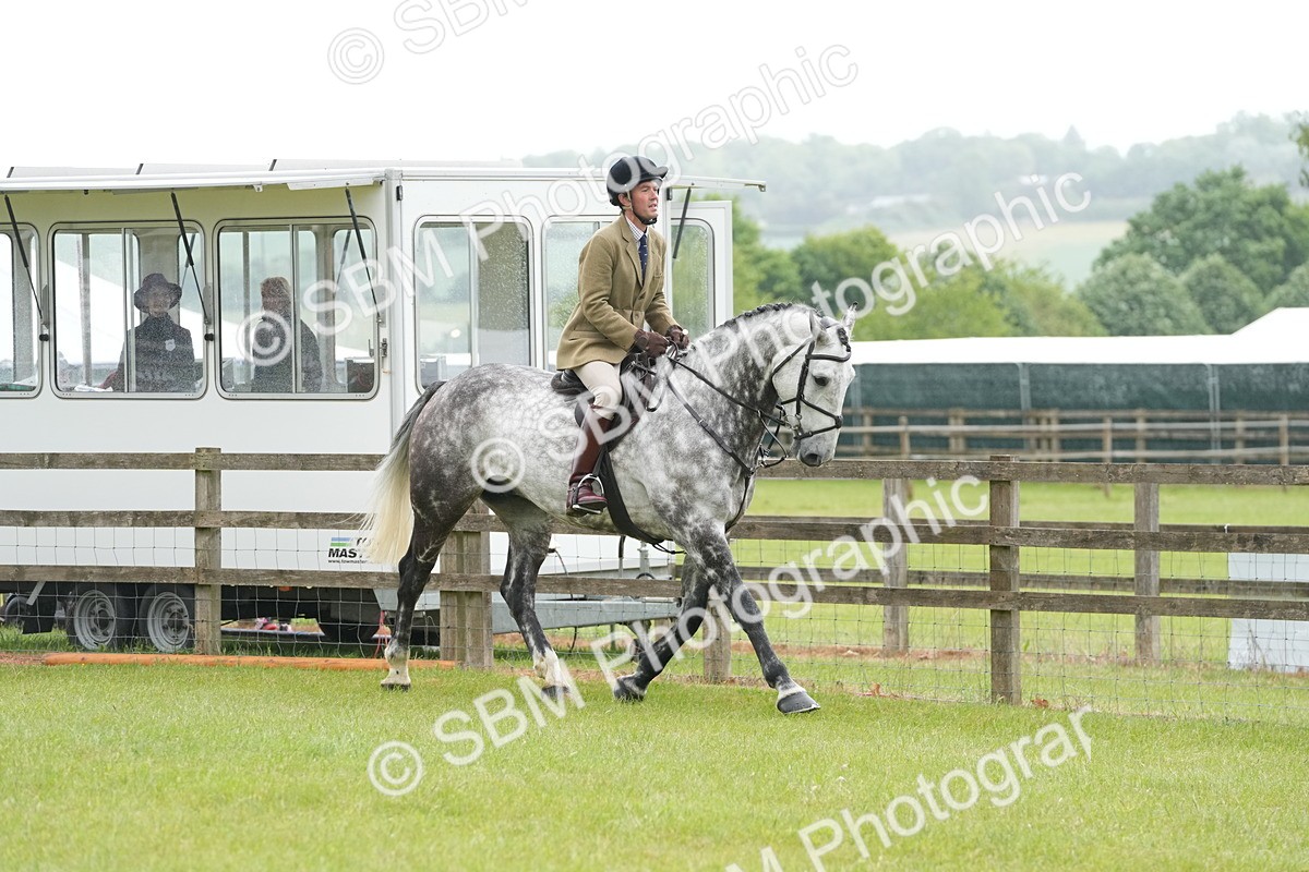 SBM_12655 - Class 97-98 - LIHS BSHA Rising Star Working Show Horse Hunter
