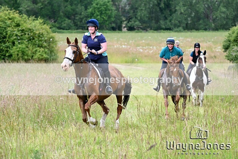 WJ6_8182 - Edited Examples