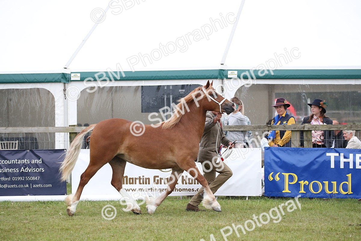 SBM_09749 - Ch 50 - Price Family Supreme In Hand