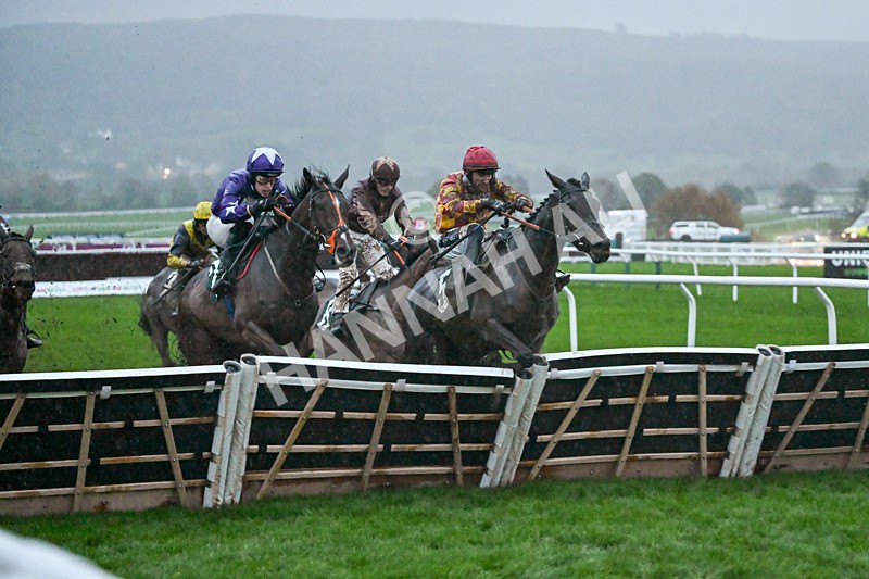 141125-Race 6-Frontier Prince-1508 - Race 6