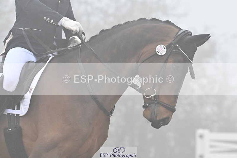 240217A-140932-03365 - 256-Bradley.Moore-Taylor-Ouyuan