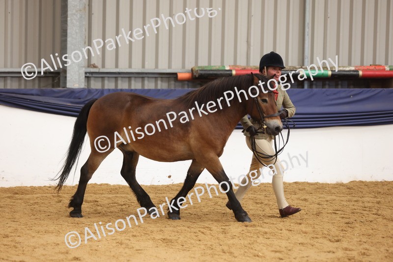20260913-1701 - Class 115 - Gelding 4years and over