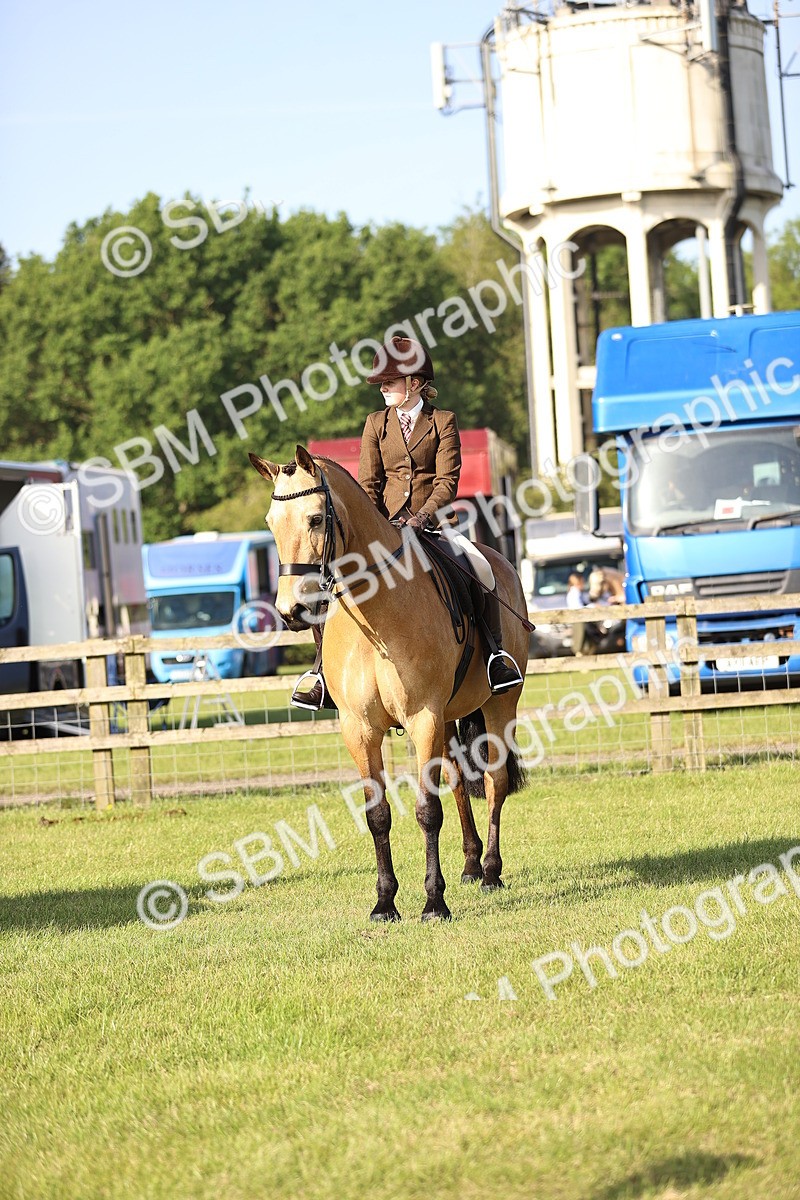SBM_10665 - Class 73-74 - LIHS BSHA Open Style & Performance