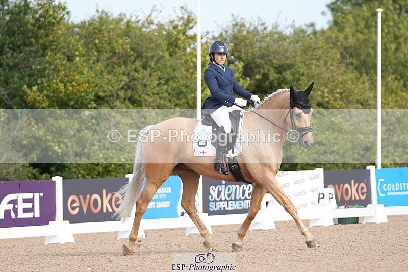 250906-094427-01182 - 025-Carrie.EveGekkos.Gold