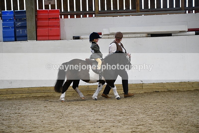 WJ5_6651 - Class 10 Childs Pony
