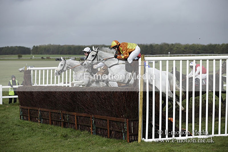 PtP 150320 0384 - New Forest Point-to-Point Larkhill 15/03/20