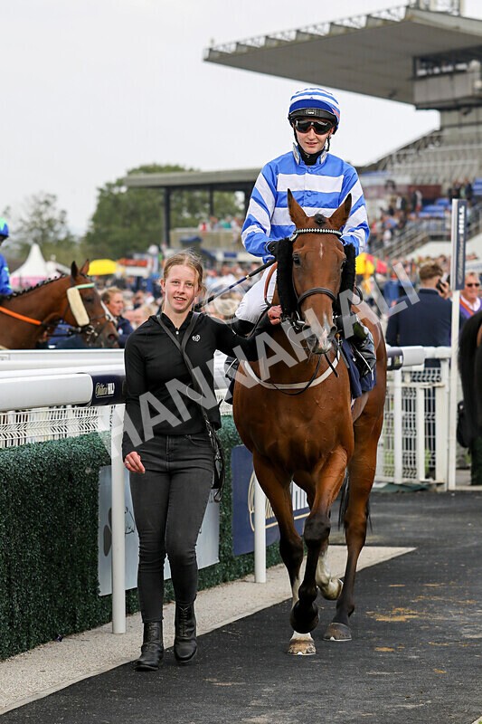 310824-Race 8-This Years Love-2381 - Race 8