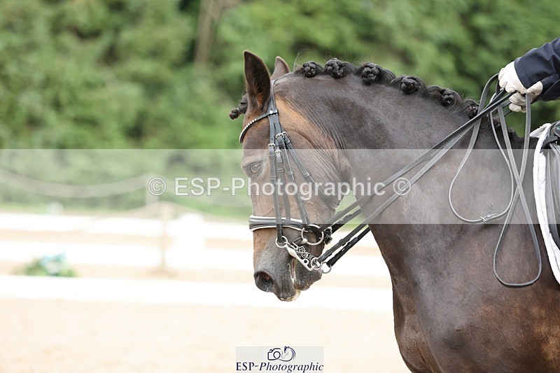 240721-171001-10557 - 212-Pippa_Clifton-Aberarth_Misty_Maid