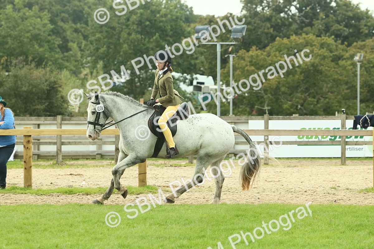 SBM_74056 - S 61 - Show Pony & Show Hunter Pony Ridden
