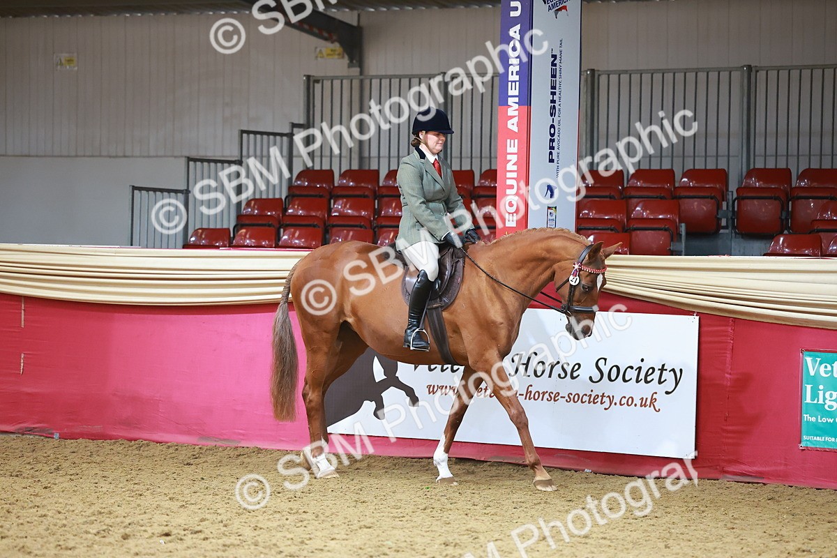 SBM_09576 - Class 102 - HOYS Veteran Qualifier - Ridden Veteran