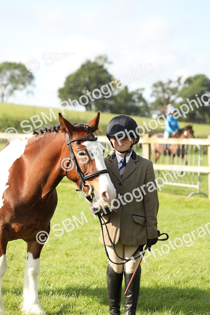 SBM_61025 - S43 - Coloured Pony In Hand
