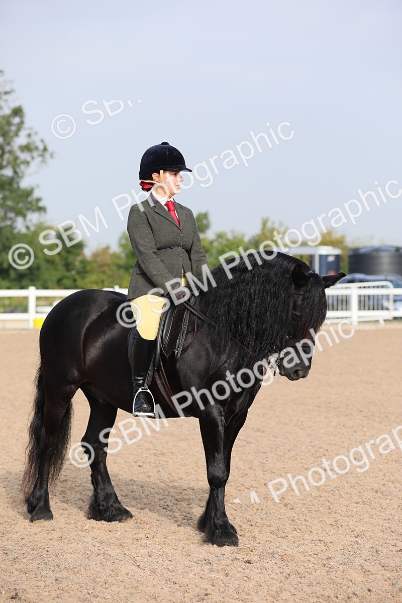 SBM_10130 - Class 302 Ridden M&M -Large Breeds