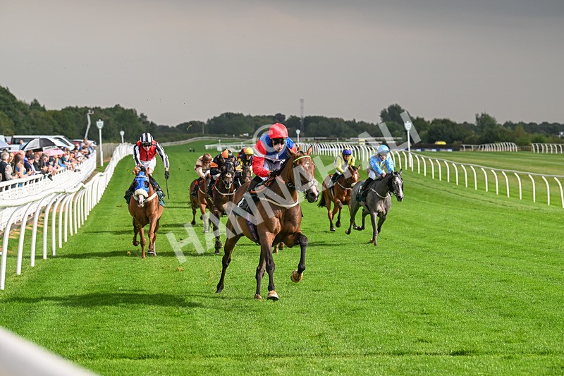 280824-Race 4-Desert Dream-4398 - Race 4