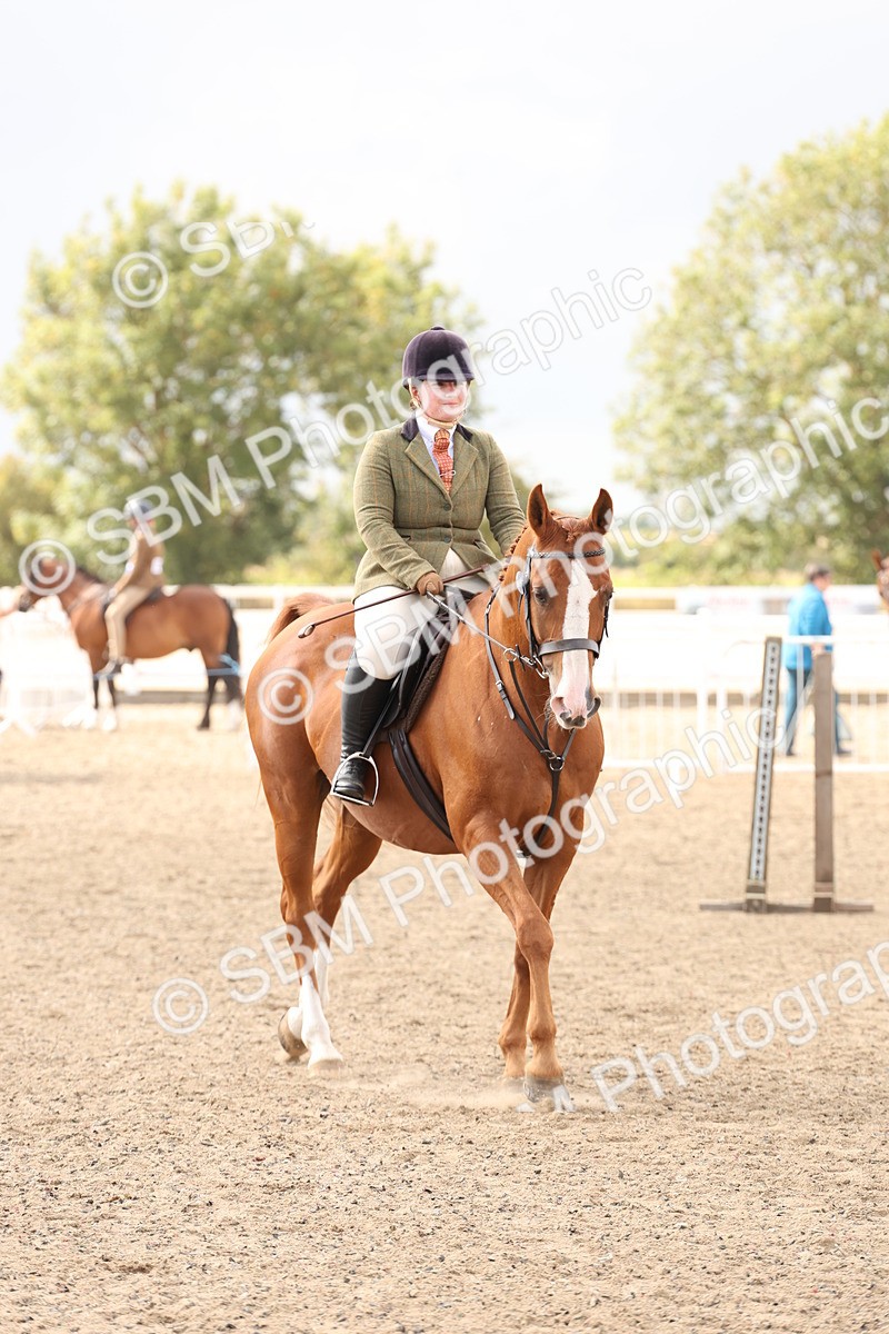 SBM_07430 - Class 59a -  Style & Performance - 80cm (15-19)