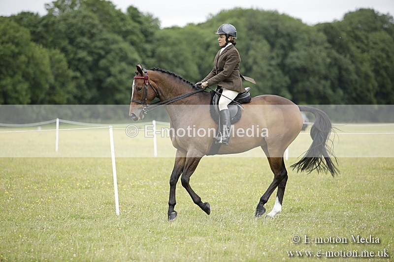 BVR160717-801 - Ring 1 BVRC Show 16/07/17