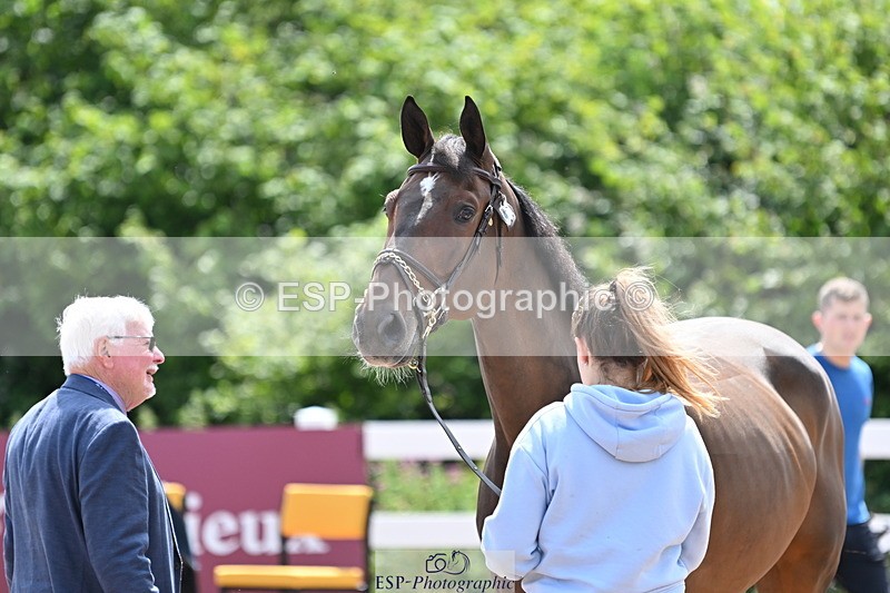 240717A-144848-02313 - Trot Up 2pm to 3pm - This folder is not in time order