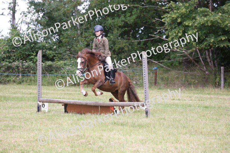 20260614-2076 - Class 21 - Novice Working Hunter Pony