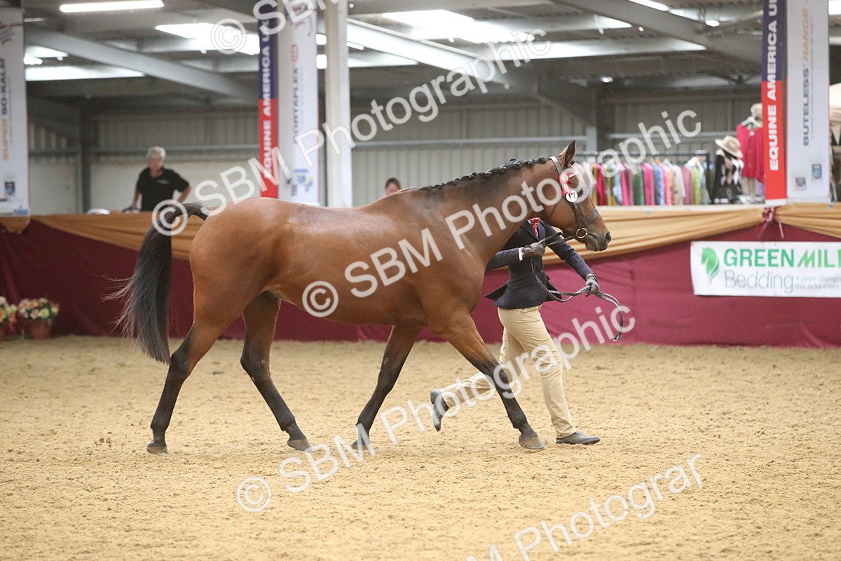 SBM_05666 - Class 9R - Regional IH Pre-Vet