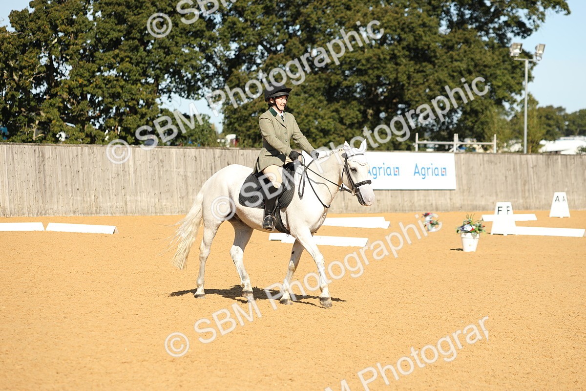 SBM_18725 - D10 - Small Tour Championship - Prelim 2