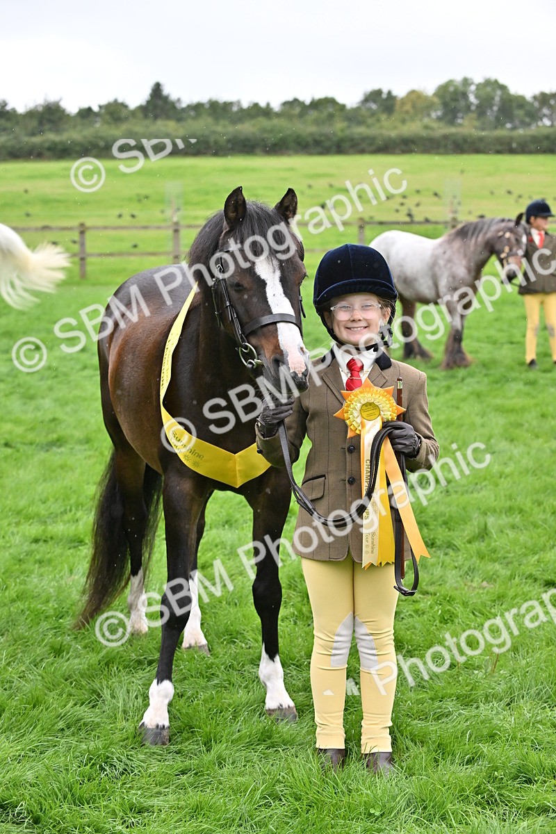 SBM_68619 - S42 - Junior Handler 9-12 Years
