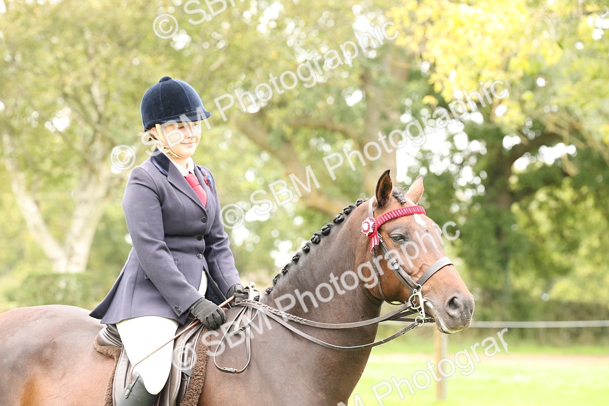 SBM_64330 - S65 - Riding Horse & Hack & Thoroughbred Ridden