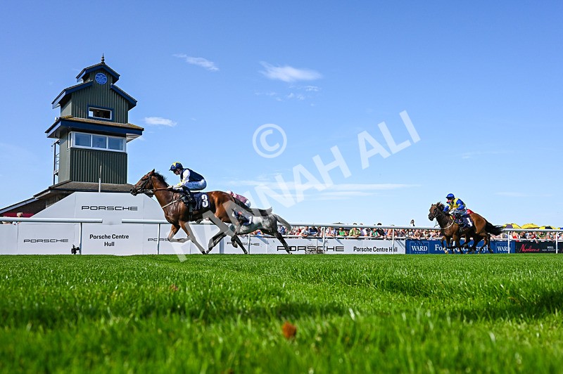 120826-Race 5-Ciao Capo-5184 - Race 5 16.15pm Cayenne Electric At Porsche Centre Hull Handicap