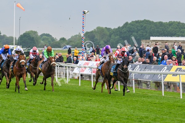 150524-Race 2-Aleezdancer-3814 - Race 2 2.45pm Churchill Tyres Handicap