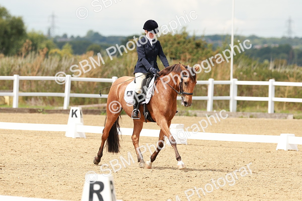 SBM_001769 - Class 8 - Elementary 6