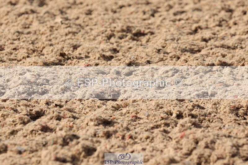 240622A-175221-14997 - Cls 38 BD FEI PSG