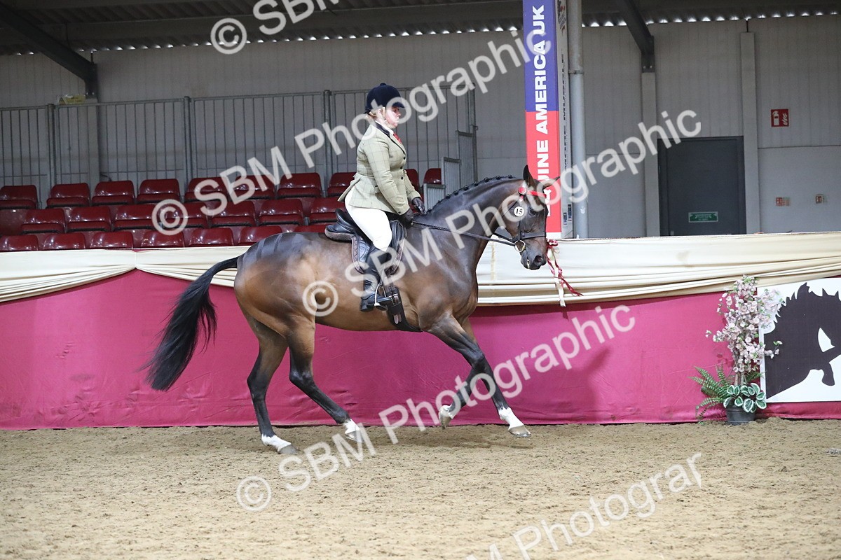 SBM_12322 - Class 108 Ridden Retired Racehorse- Pre Judging