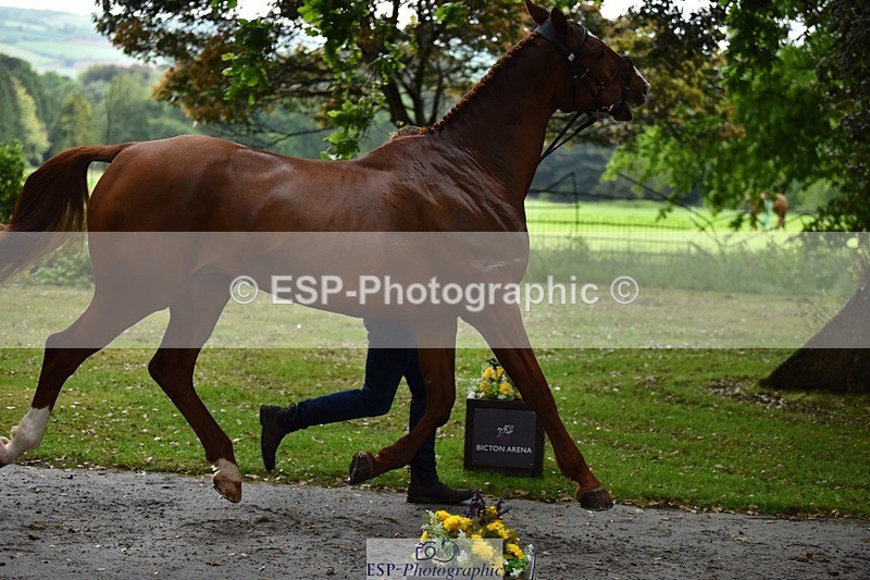 240522-152804-00361 - 357-OUGHTERARD_QUALITY-John_Westmore