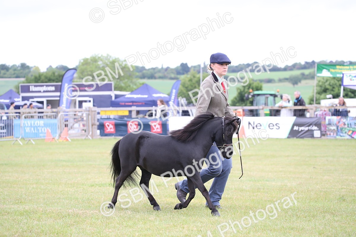 SBM_03958 - Class 23-25 - British Miniature Horse of the Year
