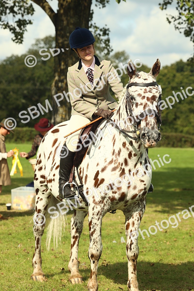 SBM_62521 - S62 - Foreign Breeds Ridden
