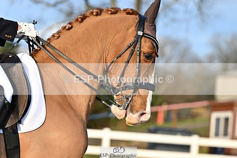 241214-145010-02973 - 109-Katharine.Lewis-Albertho.B