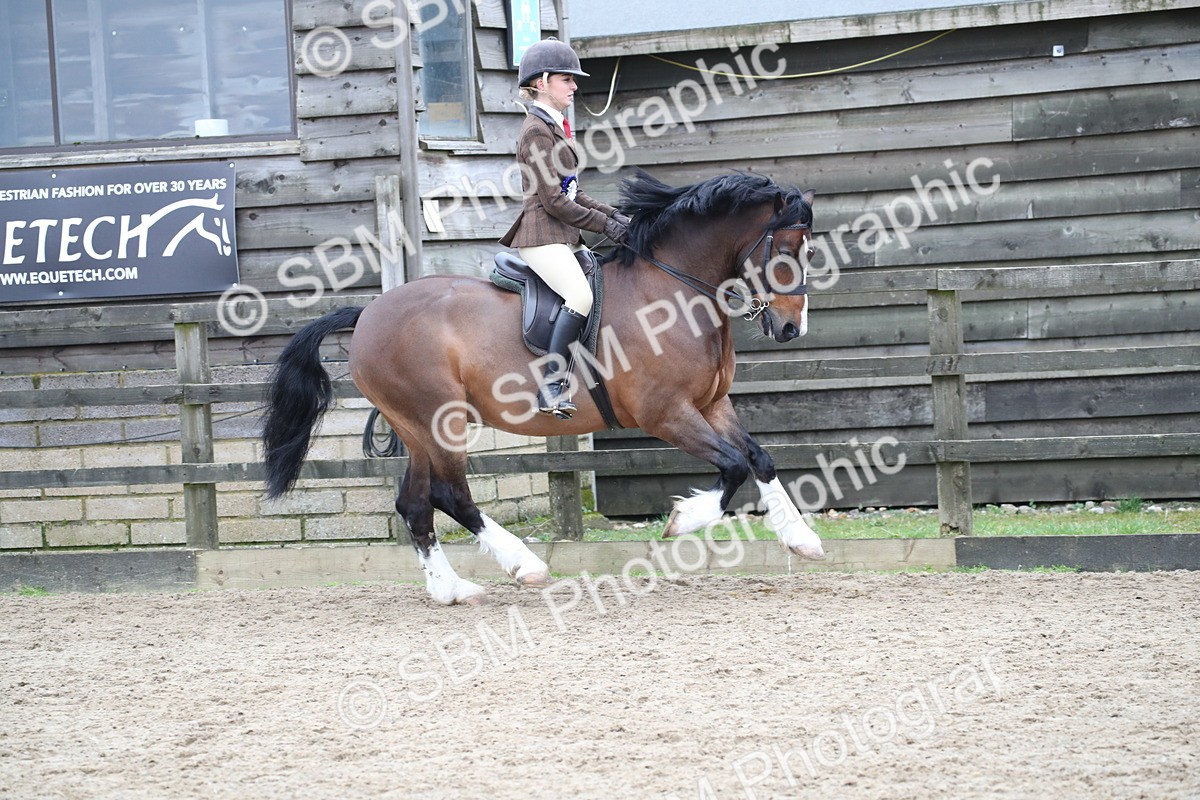 SBM_007078 - Class 10-13 - RIHS Small Large Breeds