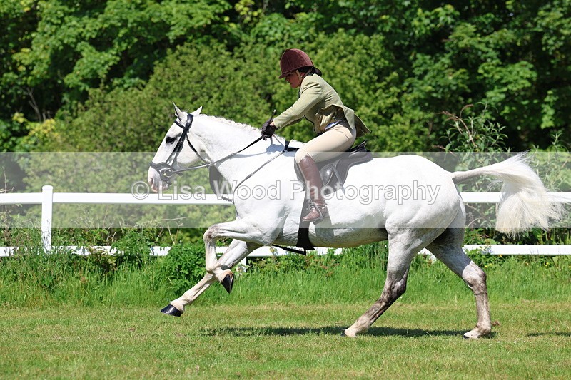 3E7A6920 - Class 30: Novice Working Hunter